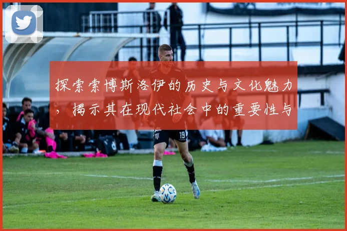 探索索博斯洛伊的历史与文化魅力，揭示其在现代社会中的重要性与影响力