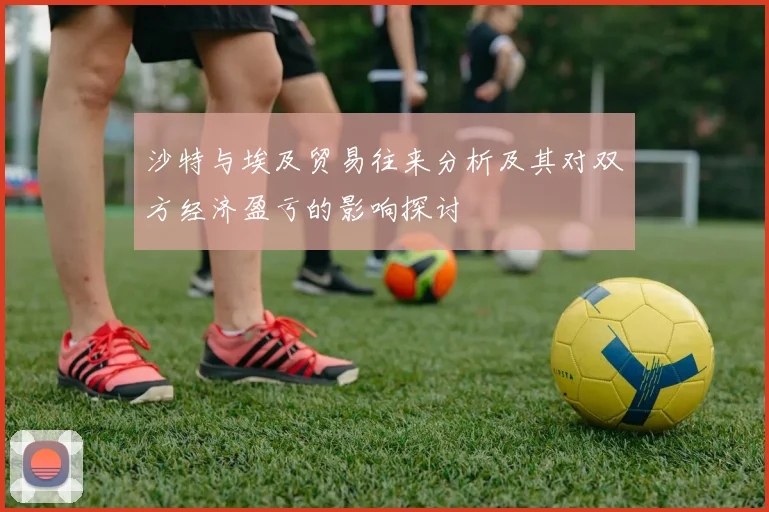 沙特与埃及贸易往来分析及其对双方经济盈亏的影响探讨