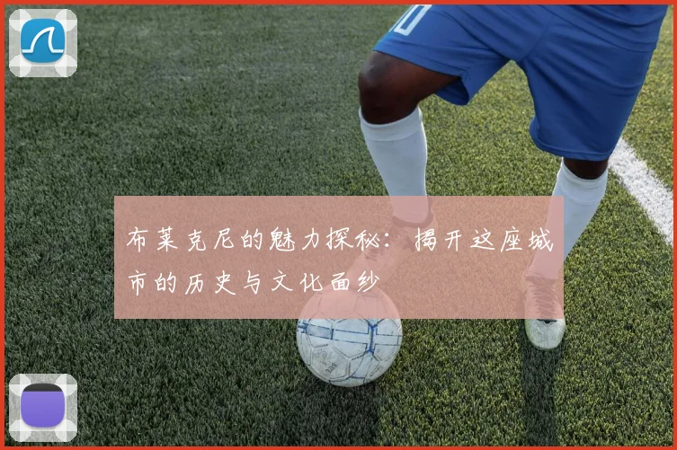 布莱克尼的魅力探秘：揭开这座城市的历史与文化面纱