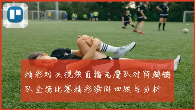 精彩对决视频直播老鹰队对阵鹈鹕队全场比赛精彩瞬间回顾与分析