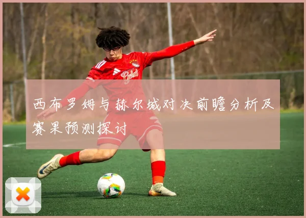 西布罗姆与赫尔城对决前瞻分析及赛果预测探讨